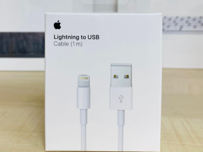 Lightning USB Cable