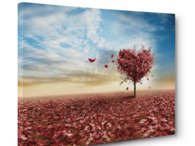 Wall  Art