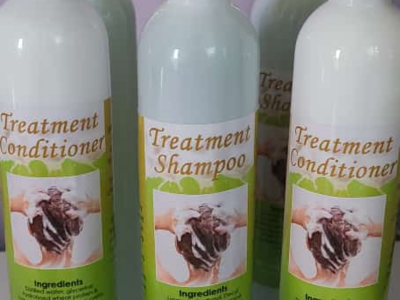 Treatment Hair Shampoo