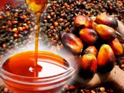 30 Liters of Palm Oil