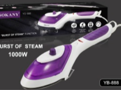 Steam iron
