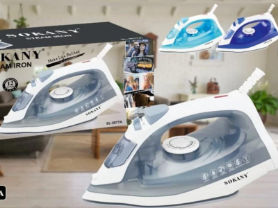 Elegant steam iron