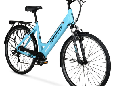Electric Assist Bike