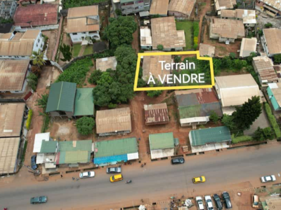 Terrain Commercial Titré Loti A Vendre à Efoulan , Yaounde