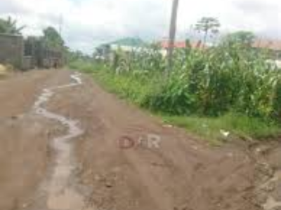 Land