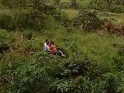 Land