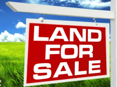 Land