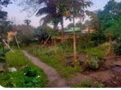 Land