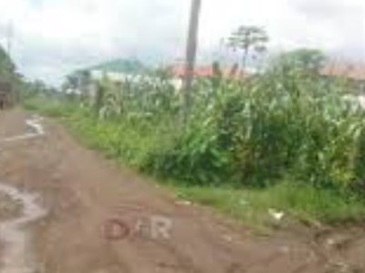 Land