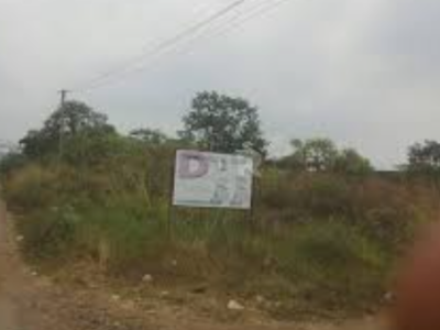 Land