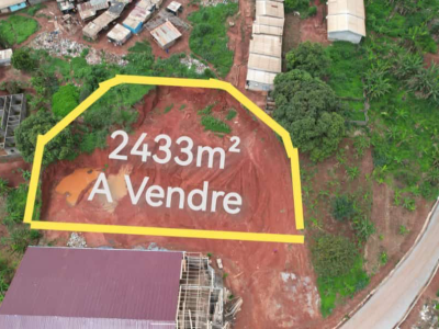 Terrain commercial titré loti à Vendre à Yaoundé, Messassi