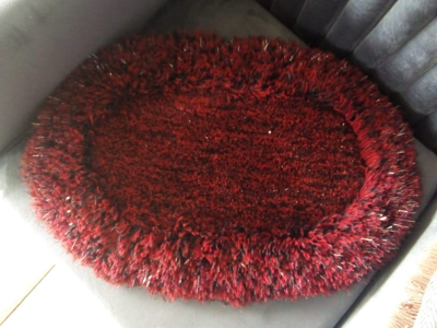 Door carpet mat
