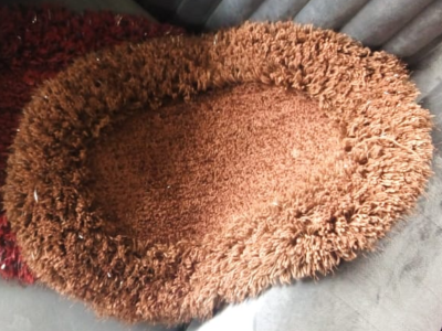 Door carpet mat