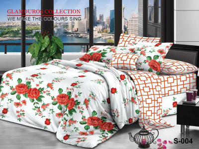 02 Bedshit and Pillow case