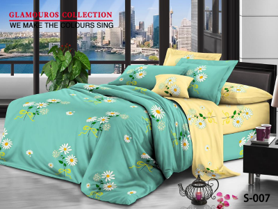 02 Bedshit and Pillow case