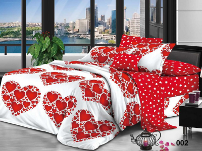 02 Bedshit and Pillow case