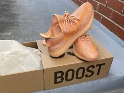 Adidas Yeezy 350