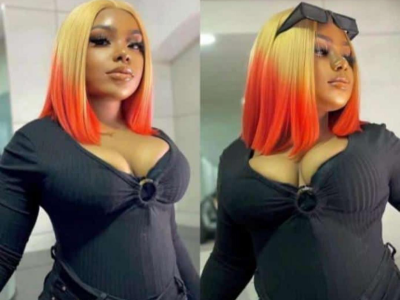 Fibre wig