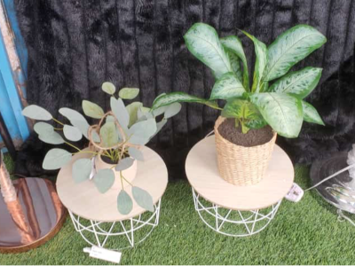 Jeux de déco avec  fleurs  15000 le Jeux