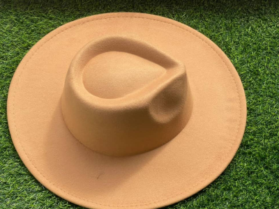Brown Fedora