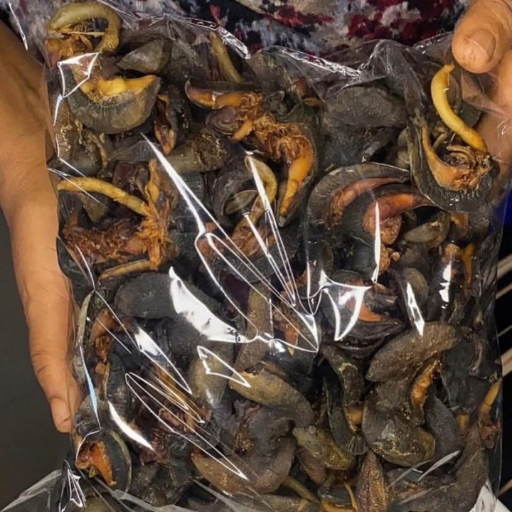 Dried Snails