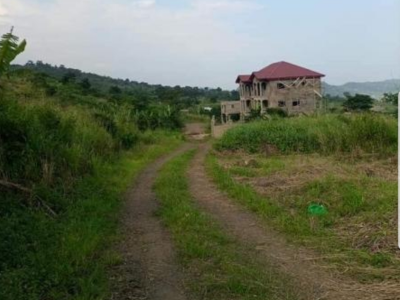 1000m² land