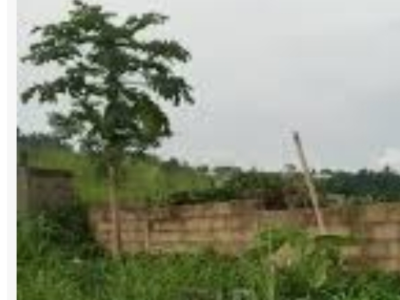 500m² land