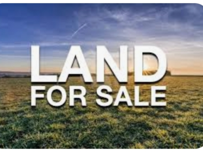 800m² land