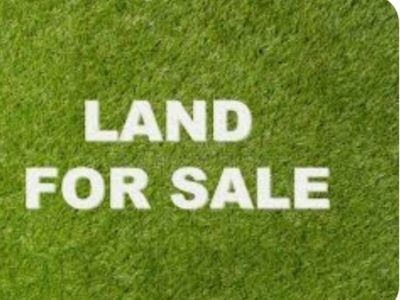 1200m² land