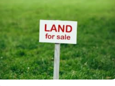 1000m² land