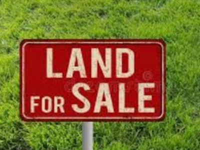500m² land