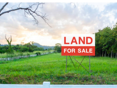 1000m² land