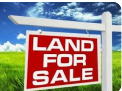 1004m² land