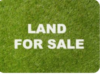 2000m² land
