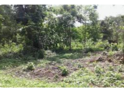500m² land