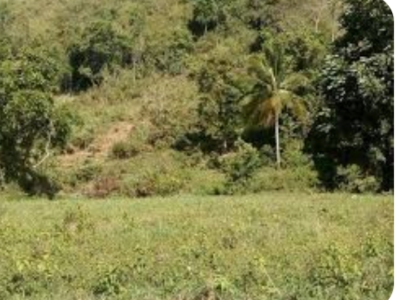 1000m² land