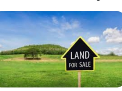 1000m² land