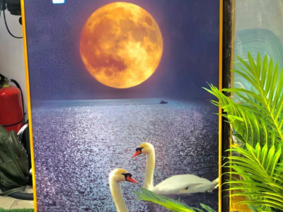 Crystal Frame