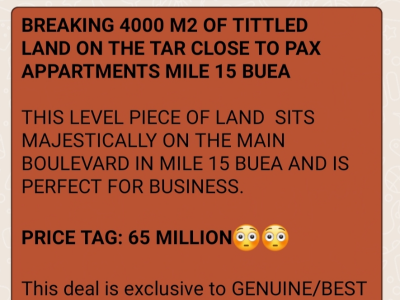 Breaking 4000 Square Meters of Titled Land Mile 15 Buea