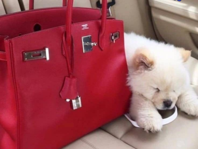Female Handbag