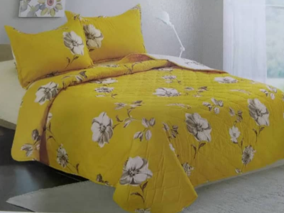 Blanket and Pillow case
