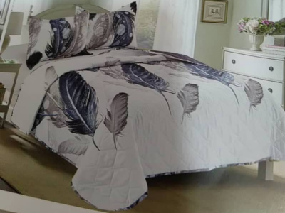 Blanket and Pillow case