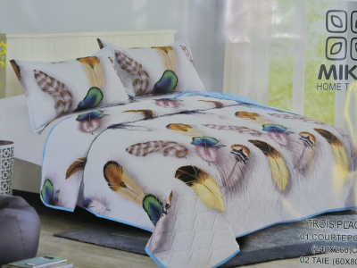 Blanket and Pillow case