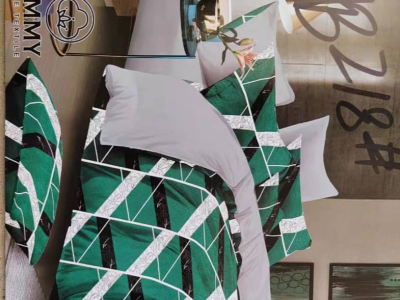 Blanket and Pillow case