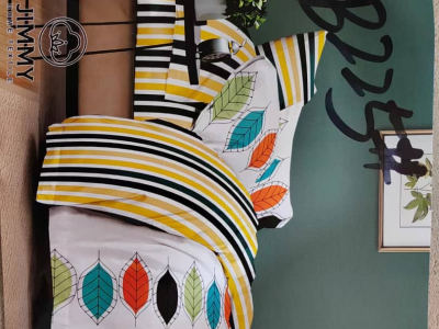 Blanket and Pillow case