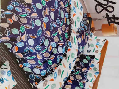 Blanket and Pillow case