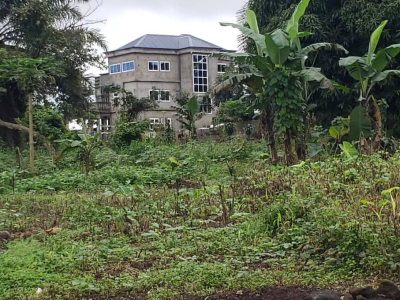 6500M2 OF TITTLED LAND SOME 600 METERS FROM THE TAR AT BIAKA UNIVERSITY AND ABOUT 30 METERS TO UB FENCE*