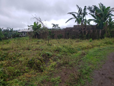 Land for sale Behind Biaka University Buea 586m2