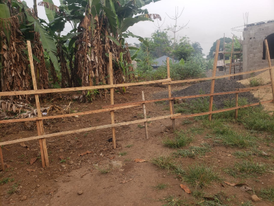 Titled land Bonduma Buea 893m2
