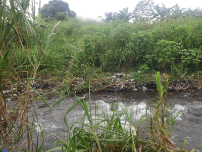 168 hectares of land Buea